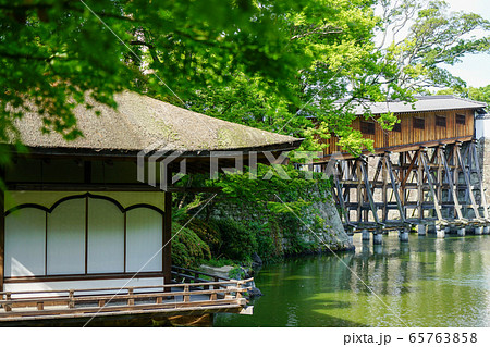 和歌山城西之丸庭園(紅葉渓庭園)の新緑 65763858