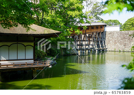 和歌山城西之丸庭園(紅葉渓庭園)の新緑 和歌山城西之丸庭園(紅葉渓庭園)の新緑 65763859