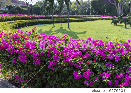 西洋風庭園 西洋風庭園 65765014