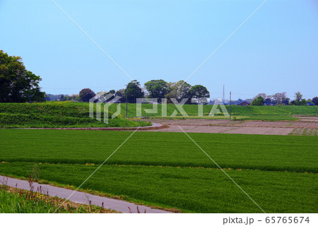 中条堤(熊谷市・行田市) 中条堤(熊谷市・行田市) 65765674