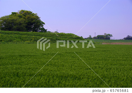 中条堤(熊谷市・行田市) 中条堤(熊谷市・行田市) 65765681