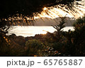 夕日 光 夕暮れ 65765887