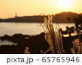 夕日 太陽 空 65765946