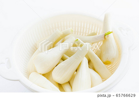 生のらっきょう 65766629