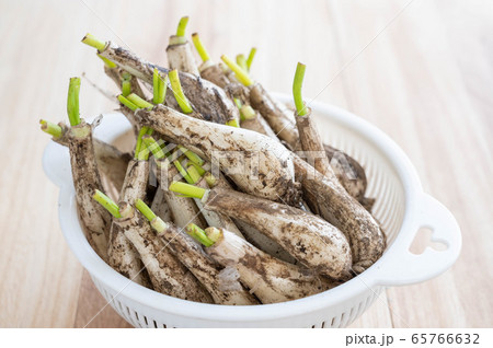 土付きらっきょう 65766632