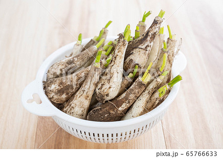 土付きらっきょう 65766633