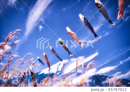 Koinobori in the blue sky next to mount Fuji during Golden Week  65767012