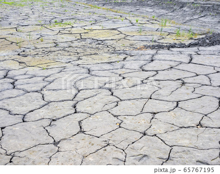 Dried and Cracked Land 65767195
