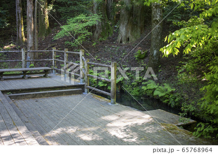 男池湧水 男池湧水 65768964