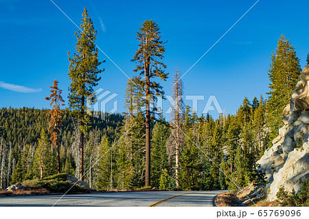 Empty road running through Sierra Nevada mountain scenery with on sunny day with clear blue sky in summer, Yosemite National Park, California, USA. 65769096
