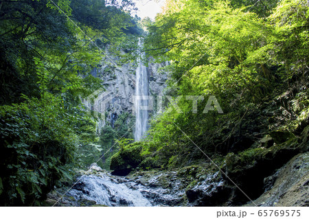 東椎屋の滝 65769575