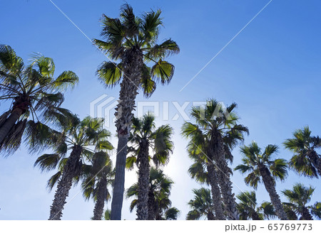 500px Photo ID 500px Photo ID 65769773