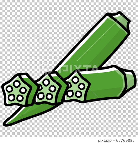 カットしたオクラ カットイラスト 65769883