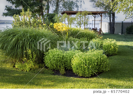 Scenic landcape view of ornamental garden with bushes and different plants at countryside. Landscaping design mown lawn irrigated with smart autonomous sprayers near lake or river private mansion 65770402