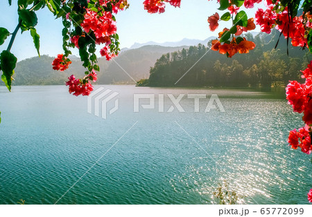 The beauty of Ngebel Lake naturally  65772099