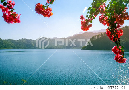 The beauty of Ngebel Lake naturally The beauty of Ngebel Lake naturally 65772101