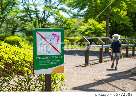 公園　喫煙のマナー掲示 65772688