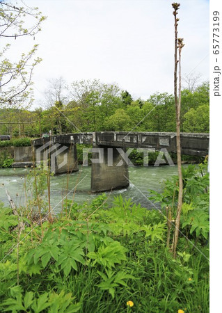 幾春別橋(北海道・三笠ジオパーク) 幾春別橋(北海道・三笠ジオパーク) 65773199