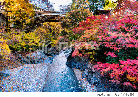 東京都奥多摩町 紅葉の氷川大橋 65774684