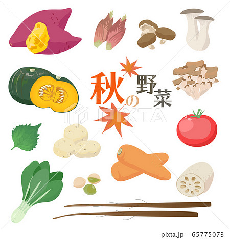 日本の秋の野菜のイラストセットのイラスト素材