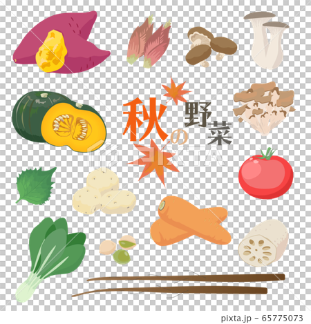 日本の秋の野菜のイラストセットのイラスト素材