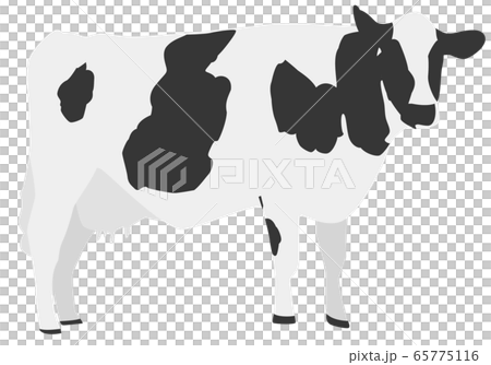 牛圖素材 65775116