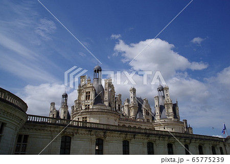 ロワール地方のシャンボール城 ロワール地方のシャンボール城 65775239