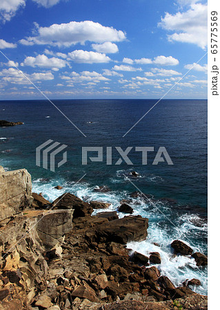 日南海岸都井岬の海岸 65775569