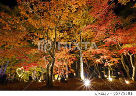 月の石もみじ公園 65775591