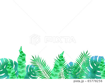 南国植物のイラストフレームのイラスト素材