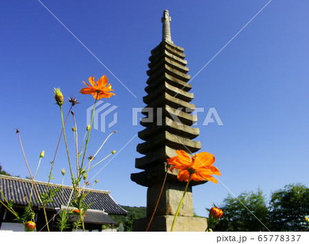 秋桜寺　奈良の般若寺 65778337