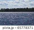 River ob in summer, Siberia Russia River ob in summer, Siberia Russia 65778371
