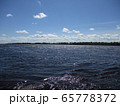 River ob in summer, Siberia Russia River ob in summer, Siberia Russia 65778372