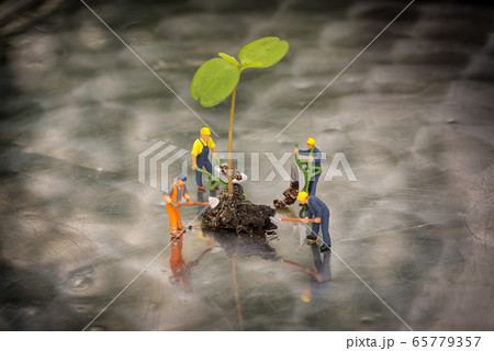 Miniiature people planting a tree. 65779357
