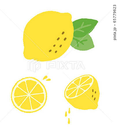 Lemon Hand Drawn Illustration Stock Illustration