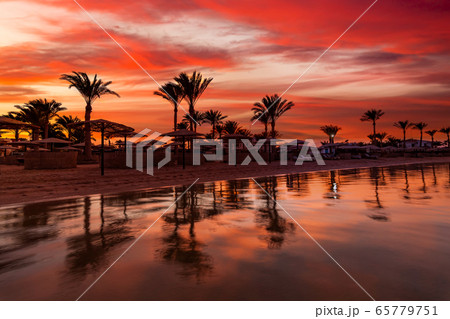 Sunset at the beach with palm trees, parasols and sunbeds. Sunset at the beach with palm trees, parasols and sunbeds. 65779751