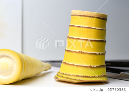 takenoko bamboo shoot 65780588