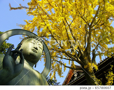 京都 くろ谷  金戒光明寺 65780607