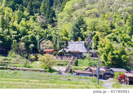 農村風景　春　新緑　里山　永昌寺 65780981
