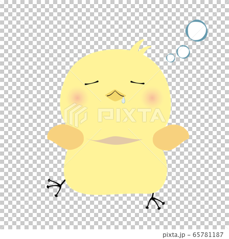 眠るひよこ 65781187