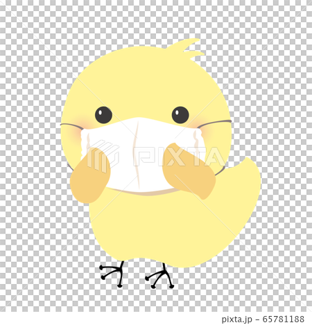 布マスクをつけたひよこ 65781188