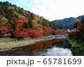 紅葉 65781699