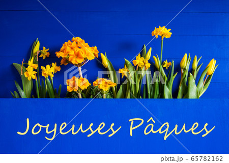 Spring Flowers, Tulip, Narcissus, Text Joyeuses Spring Flowers, Tulip, Narcissus, Text Joyeuses 65782162