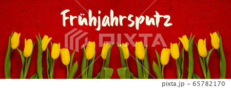 Baner Of Yellow Tulip, Red Background, Baner Of Yellow Tulip, Red Background, 65782170