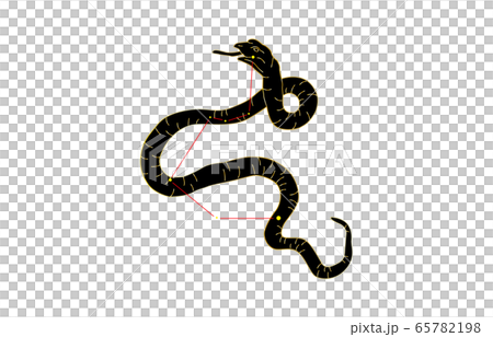 88星座黒みずへび座 65782198