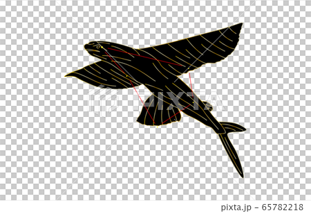 88星座黒とびうお座 65782218
