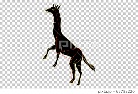 88 constellation Kurir 65782220
