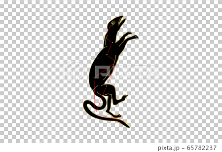 88 constellation Black and Libra 65782237