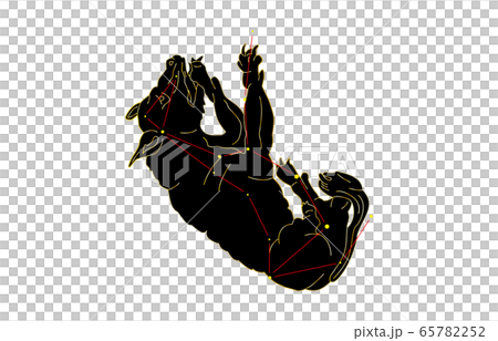 88星座黑熊 88星座黑熊 65782252