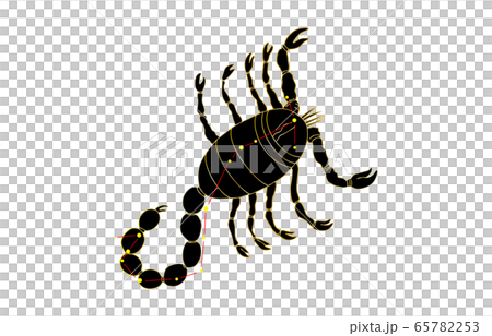 88星座黑天蠍座 65782253